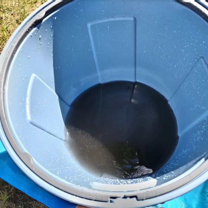 画像2957