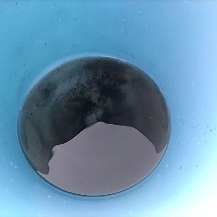 画像3035